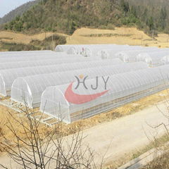 Agricultural Single Span Plastic Film Greenhouse