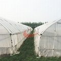 Agricultural Single Span Plastic Film Greenhouse