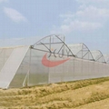 Saw Tooth Greenhouse   3