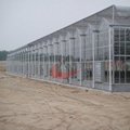 Agricultural Polycarbonate Greenhouse  Agricultural Glass Greenhouse