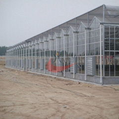 Agricultural Polycarbonate Greenhouse 