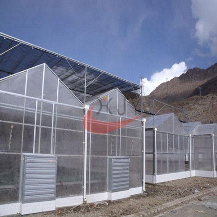 Agricultural Polycarbonate Greenhouse  Agricultural Glass Greenhouse 3