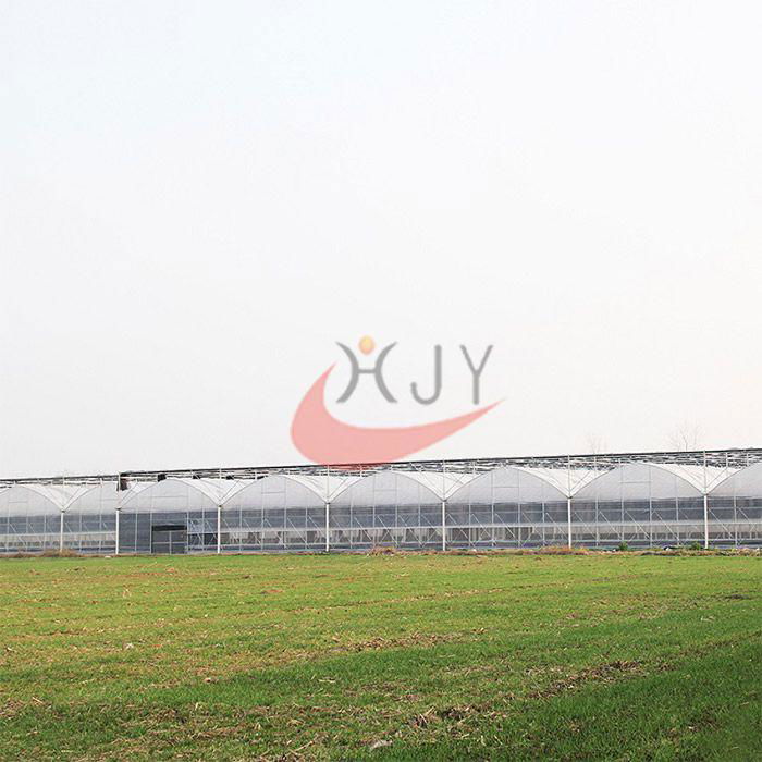 Agriculture Plastic Large Multi Span Greenhouse for Sale 