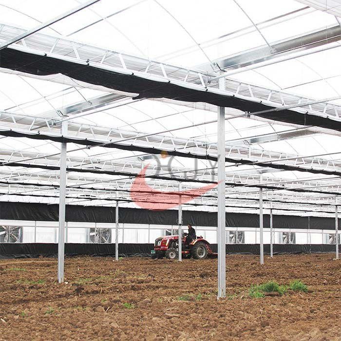 Agriculture Plastic Large Multi Span Greenhouse for Sale  3