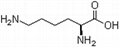 L-赖氨酸   56-87-1