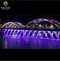 2016 China Rainbow Bridge Digital Water Curtain Fountain 1