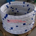 galvanized steel wire for gargoor net 