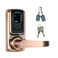 家用智能指纹木门锁 指纹刷卡室内锁 小型国外智能锁 1