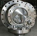 Titanium Flanges