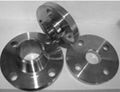 GR2 Titanium flange 1