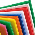 PP Corrugated Palstic  sheet 1