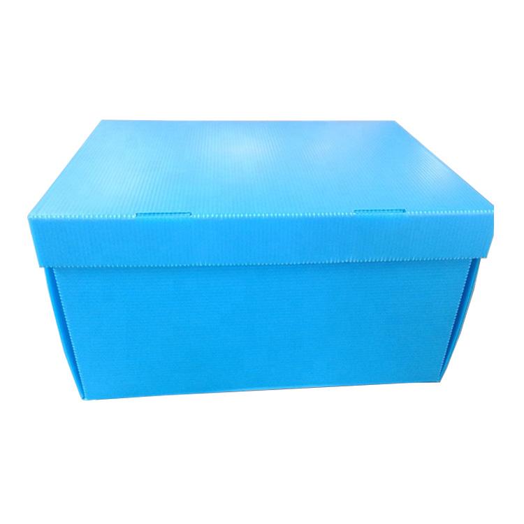 Folding PP Hollow sheet Packing Boxes