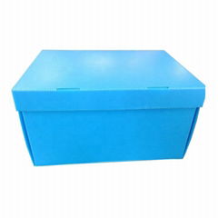 Folding PP Hollow sheet Packing Boxes