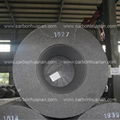 Supply RP 300mm Graphite Electrode