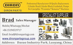 Luoyang Diron Parts Co.Ltd