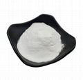 Febuxostat powder Cas 144060-53-7 of