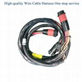 Custom Wire Harness and Cable Assembly 1