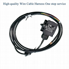 New Energy Vehicles Wire Harness