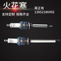 Industrial spark plug 1