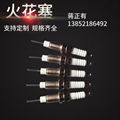 Industrial spark plug 3