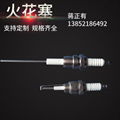 Industrial spark plug 4