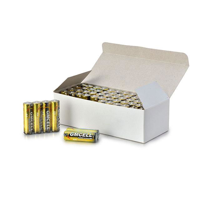 AA Alkaline battery 3