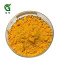 Curcuma Extract