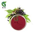 elderberry fruit powder
