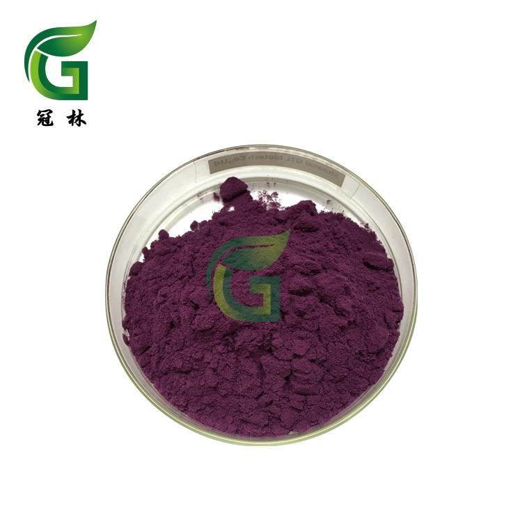 Black goji fruit powder 1