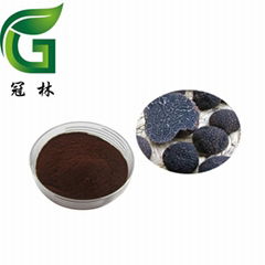 Black truffle extract