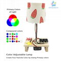 educational toy DIY Color Adjustable