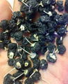 Supply Black wolfberry 2