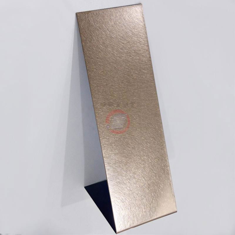Gaobi And a stainless steel rose gold plate  Hotel decoration materials 4