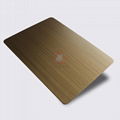 High Ratio 1807 hand-drawn brass blackened stainless steel plate