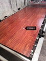 Heat transfer of Australian Red Oak grain on stainless steel plate