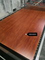 High ratio stainless steel plate heat transfer South African Gold Oak