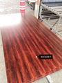 High ratio stainless steel plate heat transfer South African Gold Oak