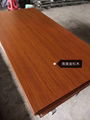 South American sequoia, furniture stainless steel decorative materials