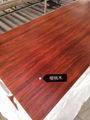 Gaobi Stainless steel decorative strip, heat transfer red sandalwood leaves