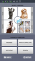 BERYLAS Veterinary Laser Equipment Animal Laser Therapy For Clinical Applicati 2