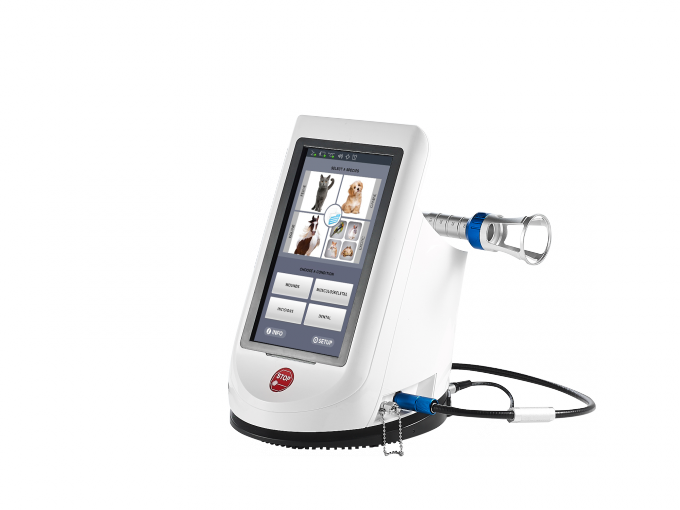 BERYLAS Veterinary Laser Equipment Animal Laser Therapy For Clinical Applicati 4