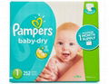 Pampers Baby Dry Diapers XL Case Size 1 (252 Count) 