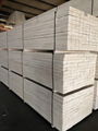  packing grade plywood LVL wood for sale online