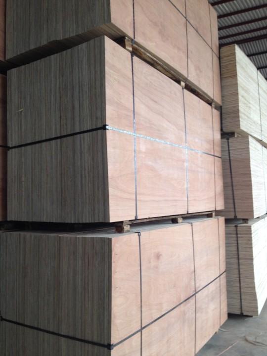 8mm Commercial Plywood/Packing Plywood 5