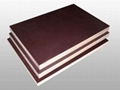 film faced plywood  FOB Reference Price:Get Latest Price