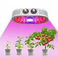 1100W Full Spectrum COB Indoor Hydroponics Plants LED Grow Lights for Indoor  1