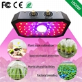 1000W Full Spectrum COB Indoor Hydroponics Plants Grow Lights lamp 1