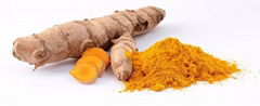 Tumeric Extract