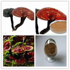 Ganoderma Lucidum Extract