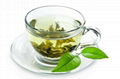 Green tea extract